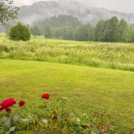 Bergnest Apartment *